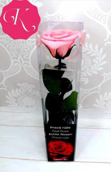 Vásárlás: Örök rózsaszál rózsaszín (díszdobozban) Virág árak  összehasonlítása, Örök rózsaszál rózsaszín díszdobozban boltok