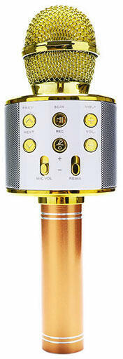 BMS-300