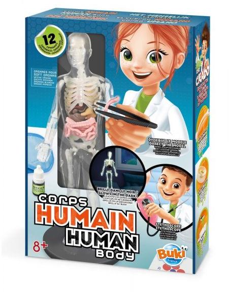 Tudományos készlet - Az emberi test (2163)