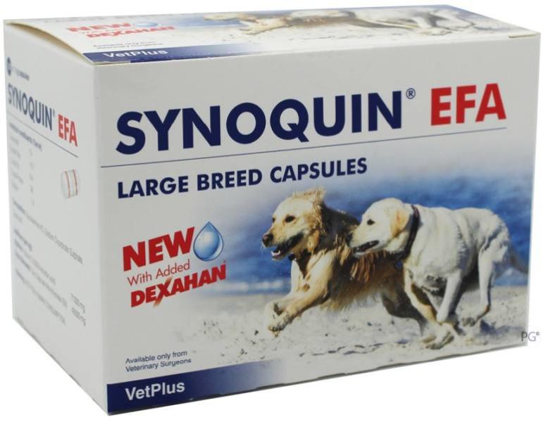 Vásárlás: VetPlus Synoquin tabletta nagytestű kutyák részére 30 db Vitamin,  táplálékkiegészítő kutyáknak árak összehasonlítása,  Synoquintablettanagytestűkutyákrészére30db boltok
