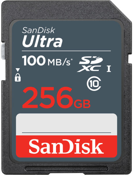 SanDisk Ultra SDXC 256GB C10/UHS-I SDSDUNR-256G-GN3IN/186559 (Card memorie)  - Preturi