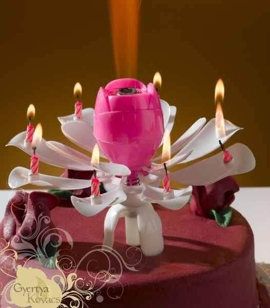 Vásárlás: Szétnyíló virág alakú, zenélő tortagyertya - rózsaszín  Tortagyertya, torta tűzijáték árak összehasonlítása, Szétnyíló virág alakú  zenélő tortagyertya rózsaszín boltok