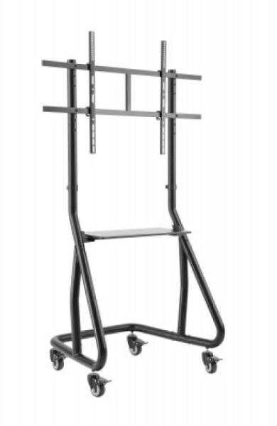 ICA-TR38