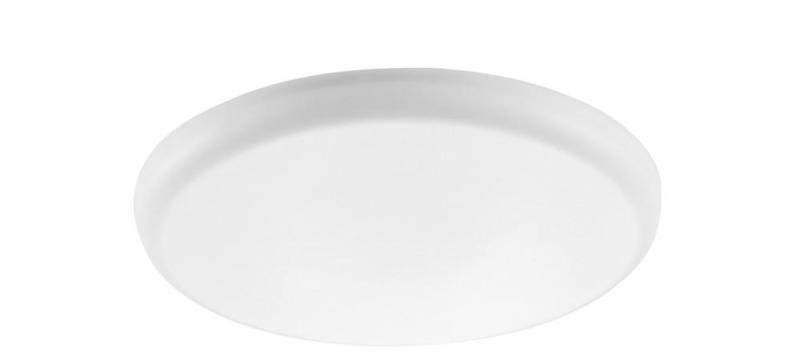 Oleg 5369