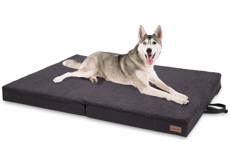 Brunolie Paco, легло за куче, възглавничка за куче, възможност за изпиране,  ортопедично, нехлъзгащо се, дишаща мемори пяна, размер XL (120 x 10 x 85  cm) (10293258) (10293258) - electronic-star Легла за куче