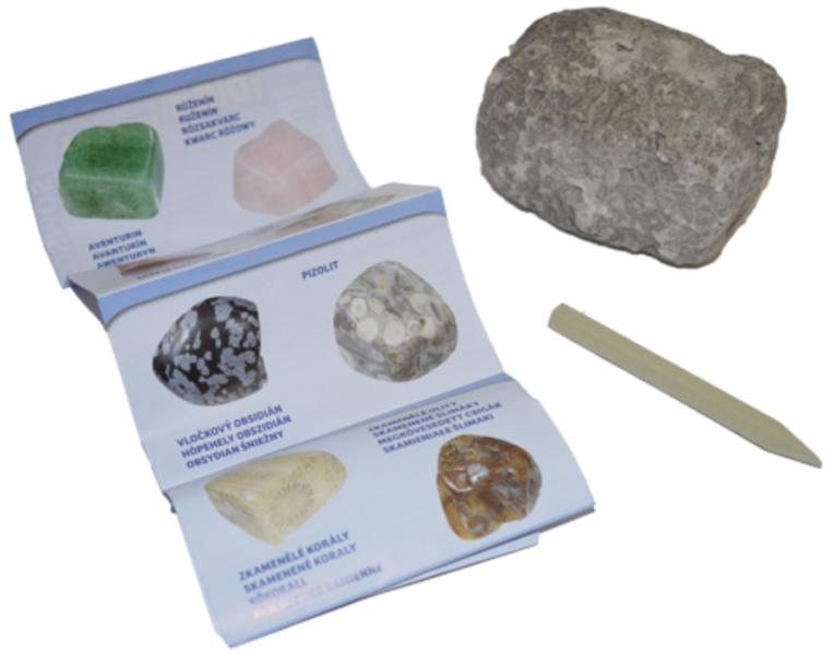 Minerals Fossils meglepetés kőzet (616427)