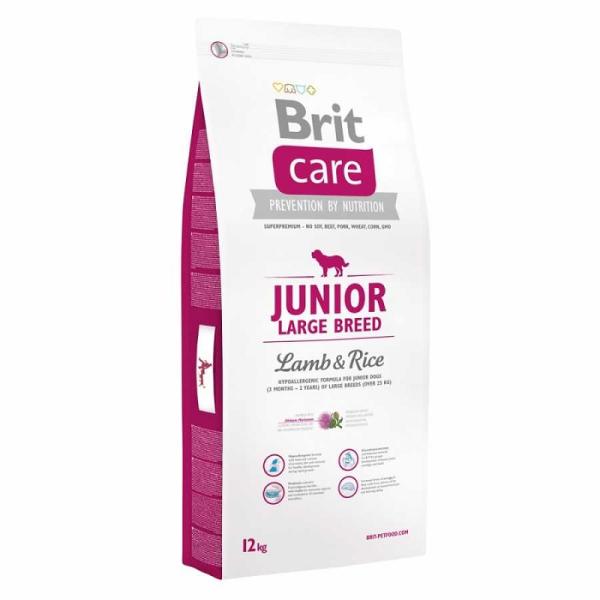 Care Junior Large Breed Lamb & Rice 1 kg