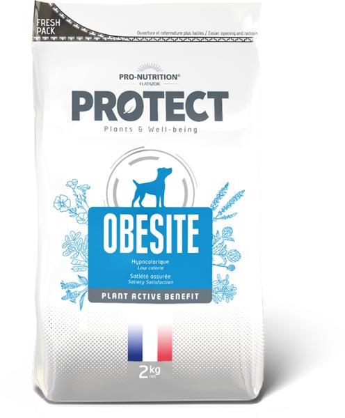 Protect Obesite 2 kg