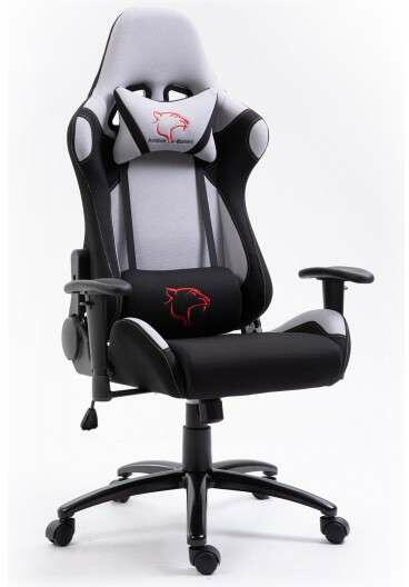 Vásárlás: Dark Gamer szék nyak- és derékpárnával - szürke-fekete  (F4GFG38GR/F) Gamer szék árak összehasonlítása, Dark Gamer szék nyak és  derékpárnával szürke fekete F 4 GFG 38 GR F boltok