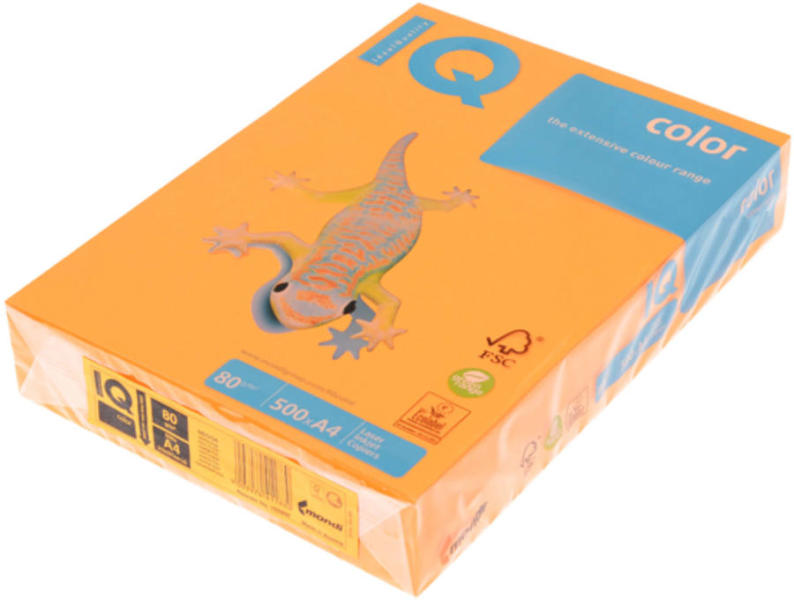 A4 80 g IQC480/N/NEOOR