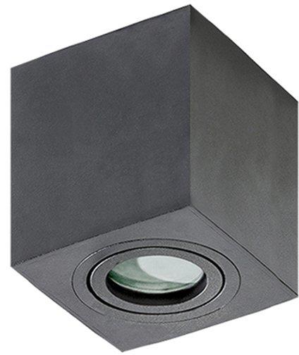 Brant 2878