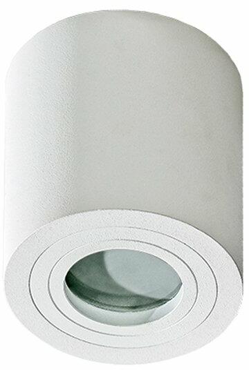 Brant 2690