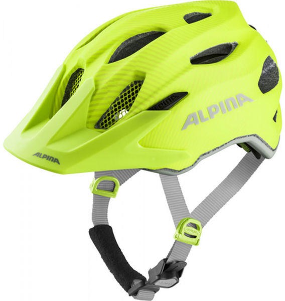 Carapax Jr Flash