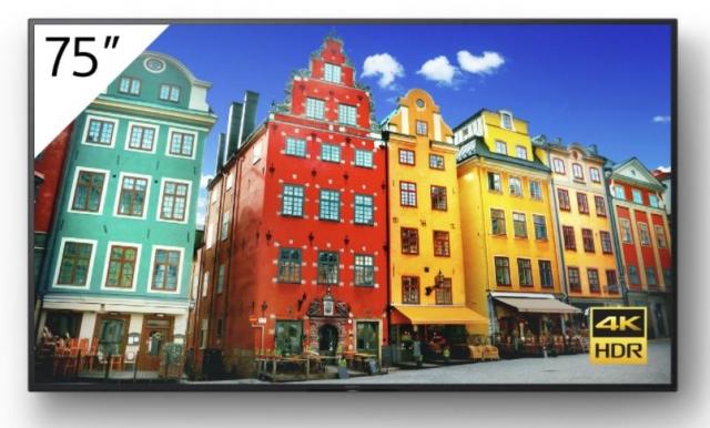 Bravia FW-75BZ30J