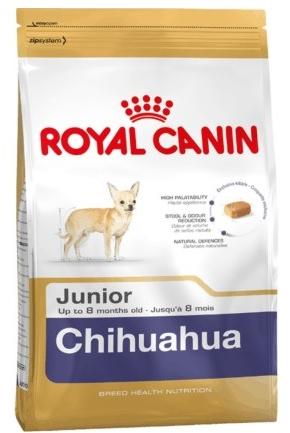 Chihuahua Junior 1,5 kg