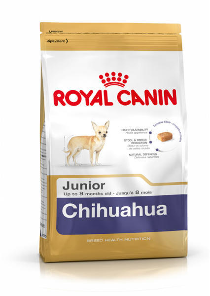 Chihuahua Junior 500 g