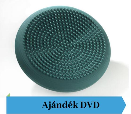Vásárlás: TheraBand tüskés felszínű (senso) dinamikus ülőpárna, átm. 33 cm,  zöld + Ajándék DVD Ülőpárna árak összehasonlítása, tüskés felszínű senso  dinamikus ülőpárna átm 33 cm zöld Ajándék DVD boltok