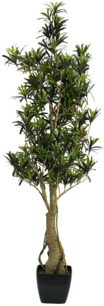 Vásárlás: EUROPALMS Podocarpus tree, artificial plant, 115cm (82511522)  Művirág árak összehasonlítása, EUROPALMS Podocarpus tree artificial plant  115 cm 82511522 boltok