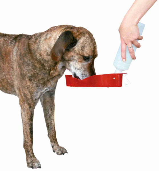 Hordozható itató 500ml (2461)
