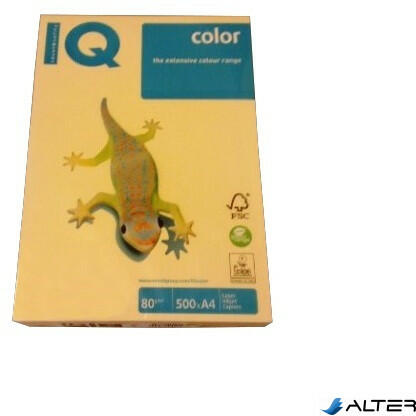 A4 160 g IQC416/P/YE23