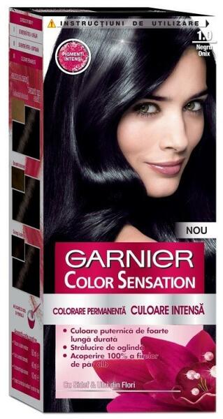 Garnier Color Sensation Vopsea de Par Permanenta cu Amoniac Garnier Color  Sensation 1.0 Negru Onix, 110 ml (LRMCSE0001) (Vopsea de par) - Preturi