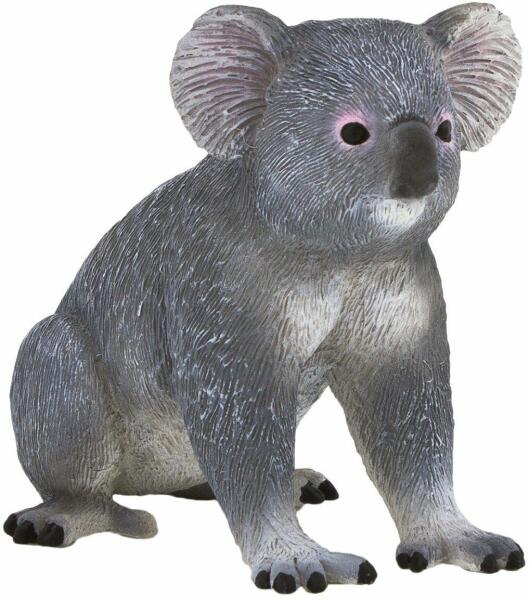 Koala M (MJ387105)