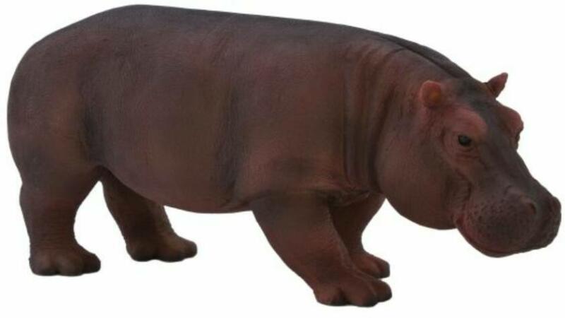 Animal Planet Viziló nőstény (MJ387104)