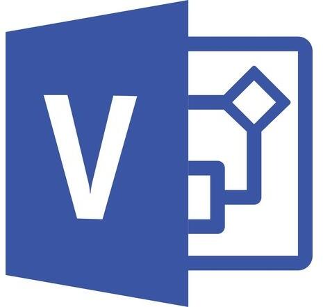 Visio Professional 2021 (D87-07606)