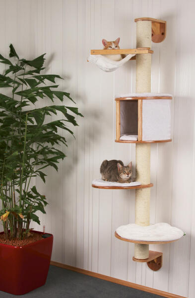 Vásárlás: Kerbl Dolomit macskabútor - fehér, falra szerelhető, 168 cm  Macskabútor, kaparófa árak összehasonlítása, Dolomit macskabútor fehér falra  szerelhető 168 cm boltok