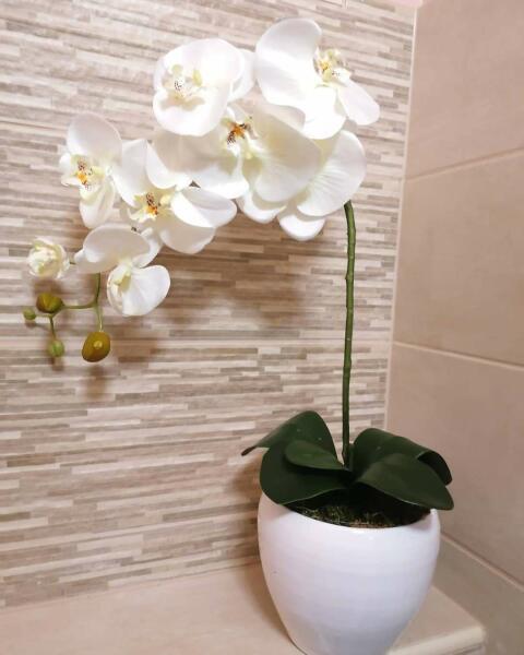 Vásárlás: Orchidea Művirág 1 szálas kaspóban - fehér (feheregyszalas)  Művirág árak összehasonlítása, Orchidea Művirág 1 szálas kaspóban fehér  feheregyszalas boltok