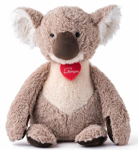 Dubbo Koala