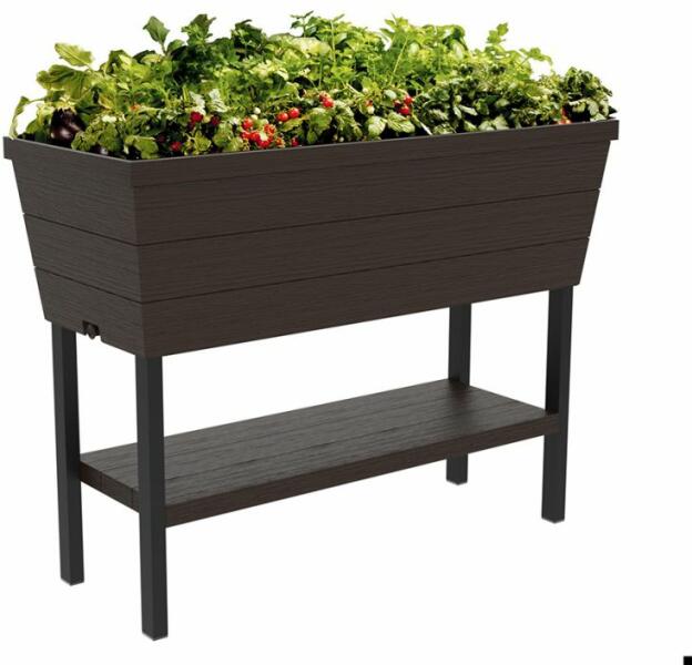 Urban Bloomer
