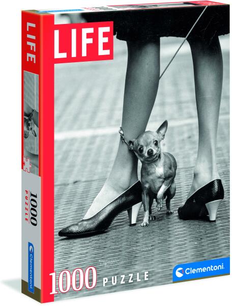 Life Collection - Chihuahua 1000 db-os (39634)