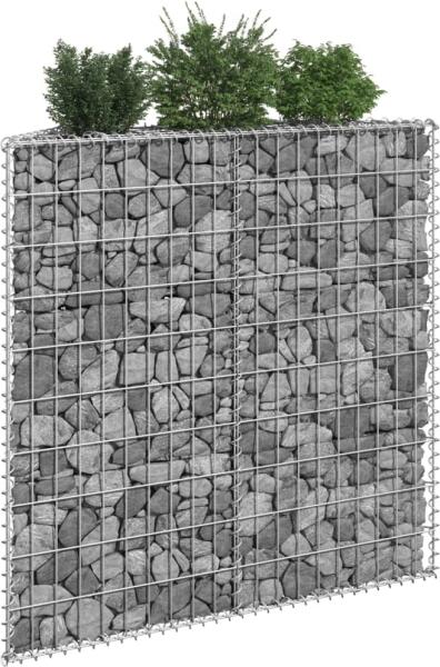 Gabion 100x20x100 cm (145653)