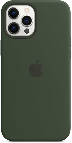 Pour USA Instruct Apple iPhone 12 Pro Max case cypress green (MHLC3ZM/A) (Husa telefon mobil)  - Preturi