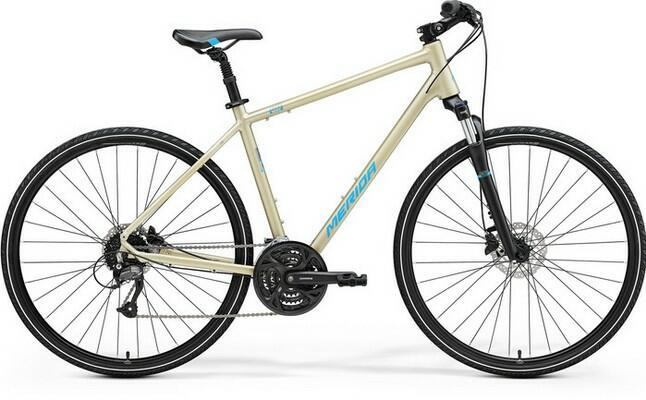 Crossway 40 (2022)