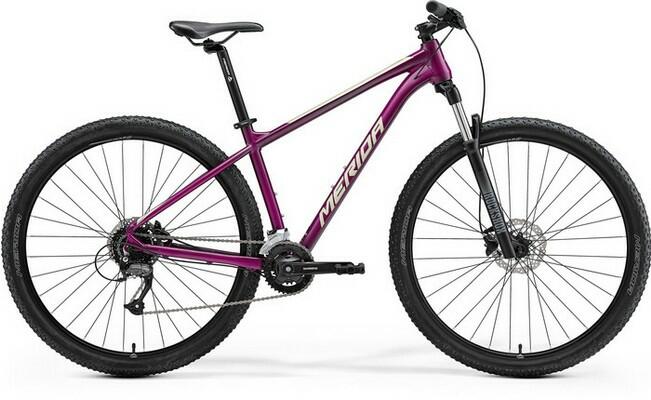 Big Nine 60-2X (2022)