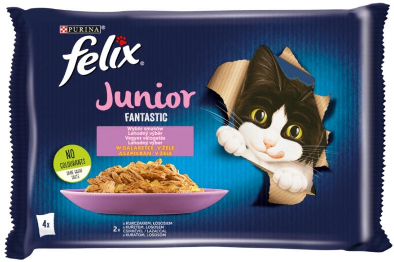 Fantastic Junior chicken & salmon 4x85 g