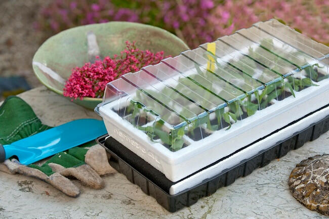 Propagator tetővel 24 rekeszes 18 x 38 x 24, 5 cm hungarocell (Nature) (6020208) - koi-farm