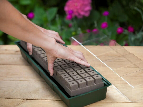 Propagator hydropóniás tálcával ablakba 64 cella 10 x 49 x 15, 5cm 20 x 20mm (Nature) (6020218)