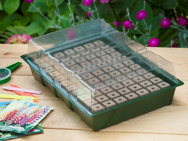 Propagator hydropóniás tálcával mini 77 cella 11 x 35 x 23, 5cm 20 x 20mm (Nature) (6020216)