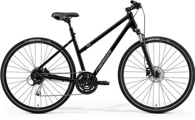 Crossway 100 Lady (2022)