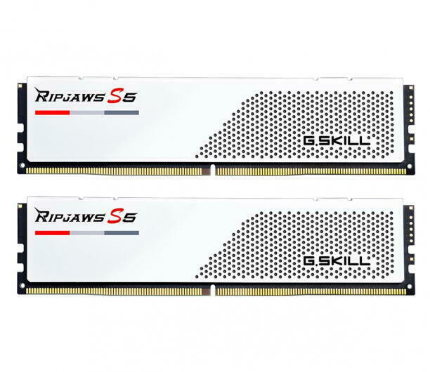 64GB (2x32GB) DDR5 5600MHz F5-5600J3036D32GX2-RS5W