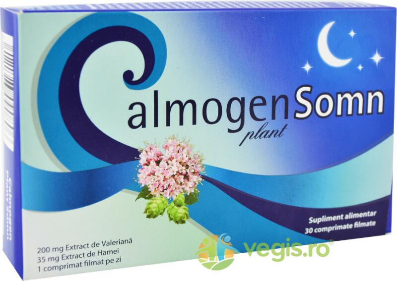 green plant uk Camellia sinensis var sinensis - Tea plant