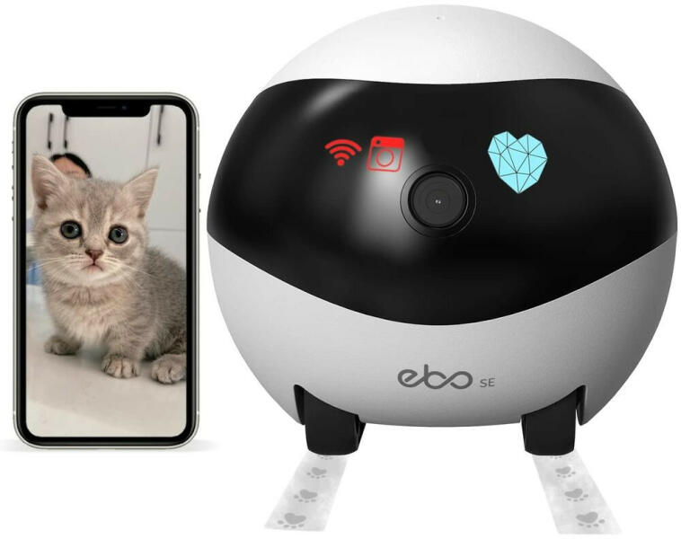EBO