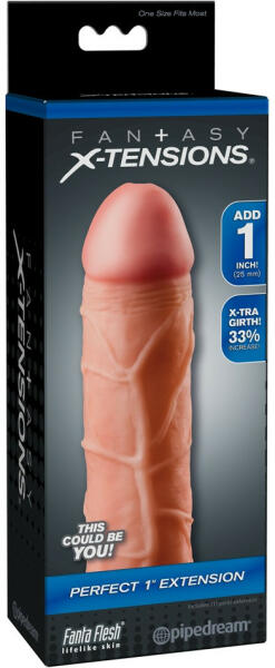 Fantasy X-tensions Perfect 1