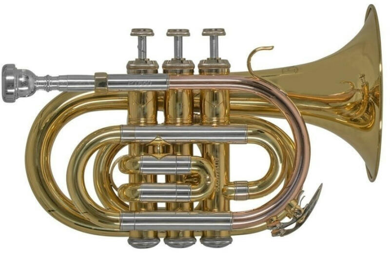 Vásárlás: Bach Bb zseb-trombita PT650 (705980) Trombita árak  összehasonlítása, Bach Bb zseb trombita PT 650 705980 boltok