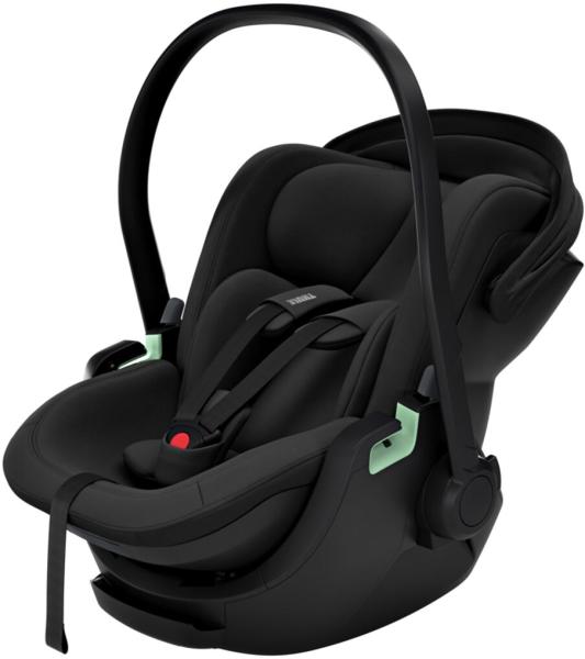 Thule Maple