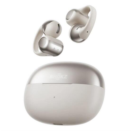 Shokz OpenDots ONE E310-ST