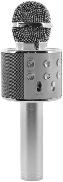 BoomTone DJ Karaoke Boostrasing